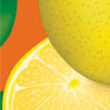 Lemon Flower - Click for details