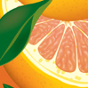 Grapefruit Passion - Click for details