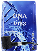 Dunhill's White Spot DNA 1953 Shell - Click for details