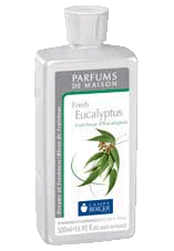 Fresh Eucalyptus