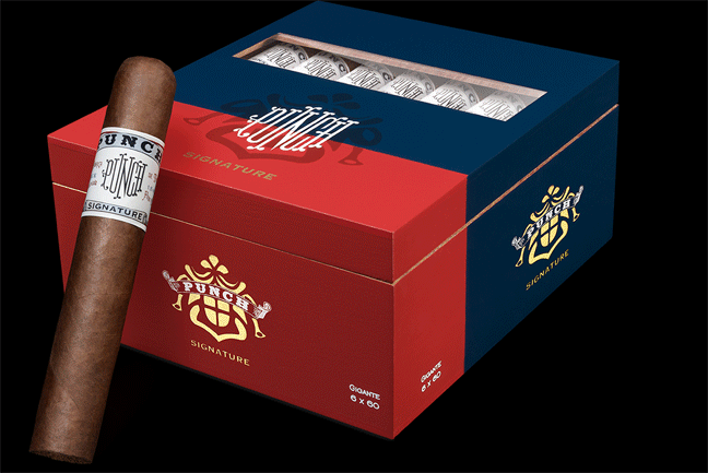 Punch Signature Robusto